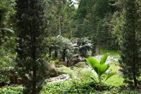 Botanischer Garten