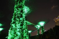 Gardens by the Bay