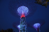 Gardens by the Bay