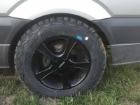 hinten links voll eingefedert